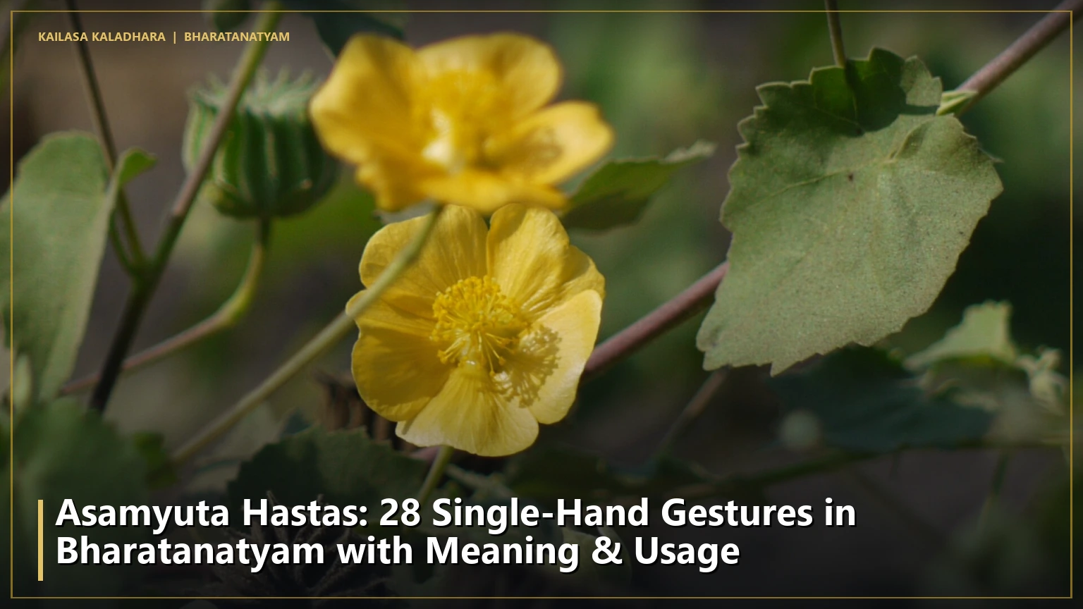 Asamyuta Hastas: 28 Single-Hand Gestures in Bharatanatyam with Meaning & Usage - Kailasa Kaladhara