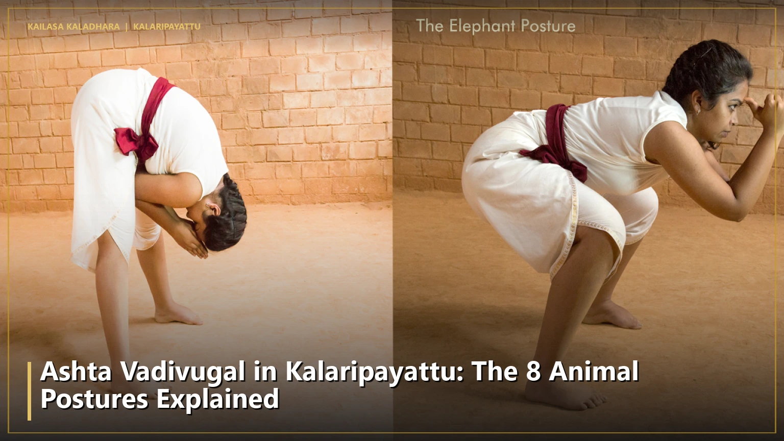 Ashta Vadivugal in Kalaripayattu: The 8 Animal Postures Explained - Kailasa Kaladhara